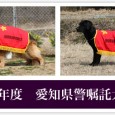 2011年度愛知県警察嘱託犬に、ラビ君、ララちゃんが認定されましたので、代表犬のコーナーにアップしました。