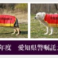 2012年度の愛知県警察嘱託犬に、リード君、アミちゃんが認定されましたので、代表犬のページにアップしました。