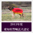   2013年度の愛知県警察嘱託犬に、アルベルト君が認定されましたので、代表犬のページにアップしました。 これから１年間、県警の捜索活動や地域活動などに協力する事になります。 活躍を応援して下さい！