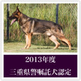 2013年度三重県警察嘱託犬にジャックくんが認定されましたので、代表犬のコーナーにアップしました。 これから１年間、県警の捜索活動や地域活動などに協力する事になります。 ジャック君の活躍を応援して下さい！