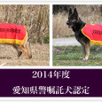   2014年度の愛知県警察嘱託犬に、ボビー君とリード君が認定されましたので代表犬のページにアップしました！ これから１年間、県警の捜索活動や地域活動などに協力する事になります。 活躍を応援して下さい！